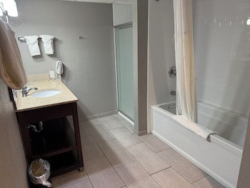 Suite, 1 King Bed