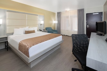1 King Bed, Non Smoking