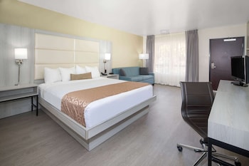 Room, 1 King Bed, Accessible, Non Smoking (Mobility/Hearing Impaired)