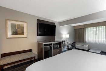 Standard Room, 1 King Bed with Sofa bed, Non Smoking, Refrigerator & Microwave (with Sofabed)