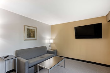 Suite, Multiple Beds, Non Smoking, Refrigerator & Microwave (with Sofabed)