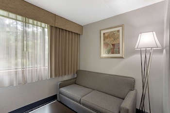 Standard Room, 1 King Bed with Sofa bed, Non Smoking, Refrigerator & Microwave (with Sofabed)