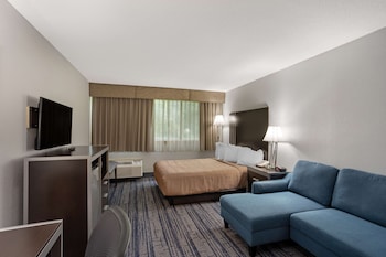 Standard Room, 1 Queen Bed with Sofa bed, Accessible, Refrigerator & Microwave (with Sofabed)