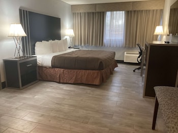 Standard Room, 1 King Bed, Non Smoking (Pet Friendly)