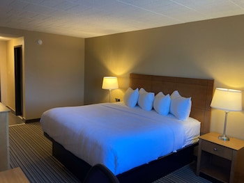 Standard Room, 1 King Bed, Non Smoking, Refrigerator & Microwave