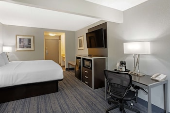 Standard Room, 1 King Bed with Sofa bed, Non Smoking, Refrigerator & Microwave (with Sofabed)