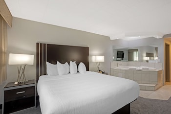 Standard Room, 1 King Bed, Non Smoking, Jetted Tub