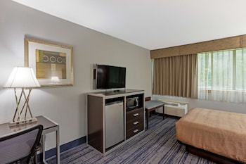 Standard Room, 1 Queen Bed with Sofa bed, Accessible, Refrigerator & Microwave (with Sofabed)