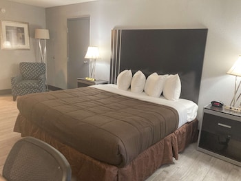 Standard Room, 1 King Bed, Non Smoking (Pet Friendly)
