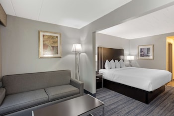 Standard Room, 1 King Bed with Sofa bed, Non Smoking, Refrigerator & Microwave (with Sofabed)
