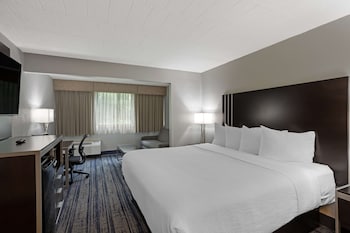 Standard Room, 1 King Bed with Sofa bed, Non Smoking, Refrigerator & Microwave (with Sofabed)