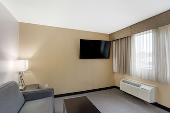 Suite, Multiple Beds, Non Smoking, Refrigerator & Microwave (with Sofabed)