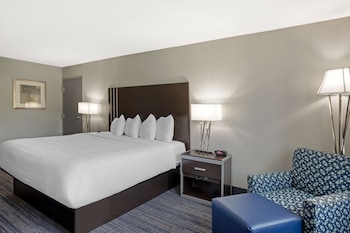 Standard Room, 1 King Bed, Non Smoking, Refrigerator & Microwave
