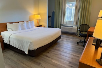 1 King Bed ADA accessible, Non-Smoking