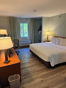 Room, 1 King Bed, Non Smoking