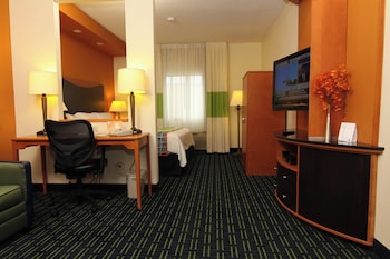 Suite, 1 King Bed with Sofa bed