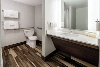Standard Room, 1 King Bed, Accessible (Communication, Roll-In Shower)