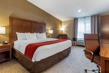 Standard Room, 1 King Bed, Non Smoking