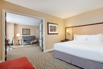 Room, 1 King Bed
