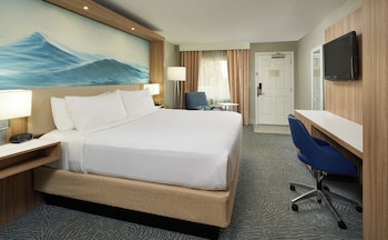 Standard Room, 1 Queen Bed, Mobility Accessible (Roll-In Shower)