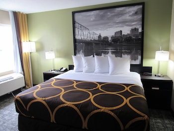 Room, 1 King Bed, Smoking
