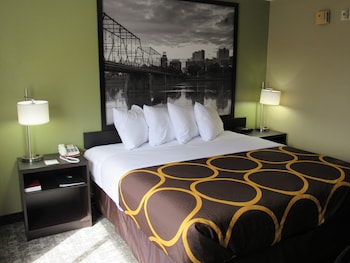 Room, 1 King Bed, Smoking