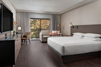 Room, 1 King Bed