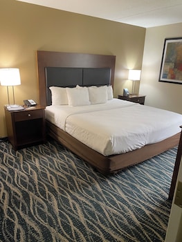 Suite, 1 King Bed with Sofa bed, Accessible, Non Smoking