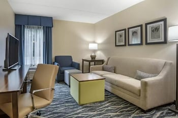 Suite, 1 King Bed with Sofa bed, Accessible, Non Smoking