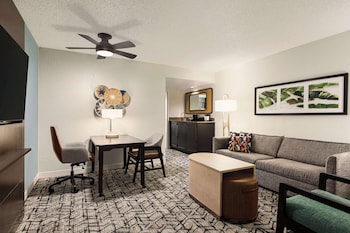 Suite, 1 King Bed with Sofa bed (Shower Only)