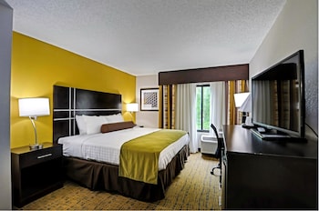 Standard Room, 1 King Bed, Non Smoking, Jetted Tub