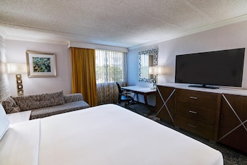 Deluxe Room, 1 Queen Bed, Accessible (Hearing)