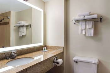 Suite, 1 King Bed with Sofa bed, Accessible, Non Smoking