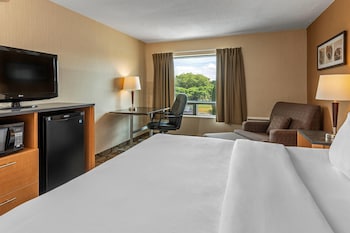 Standard Room, 1 King Bed, Non Smoking, Ground Floor