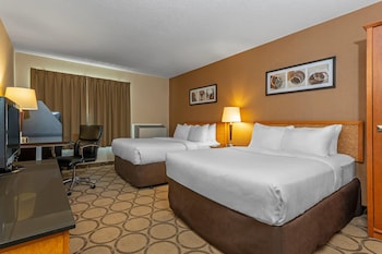 Standard Double Room, 2 Double Beds, Non Smoking