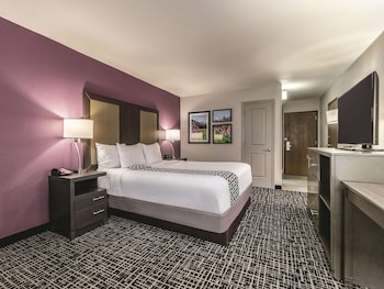 Room, 1 King Bed