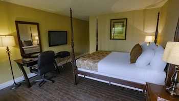 Room, 1 Queen Bed, Refrigerator & Microwave