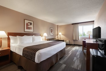 Room, 1 King Bed, Non Smoking (Mobility Accessible Roll-In Shower)