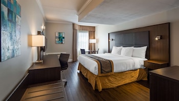Standard Room, 1 King Bed, Non Smoking, Refrigerator (Shower only)