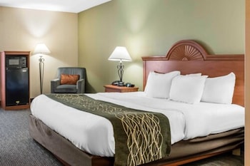 Room, 1 King Bed, Non Smoking