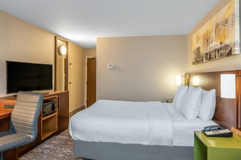 Suite, 1 King Bed, Non Smoking