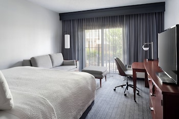 Room, 1 King Bed with Sofa bed