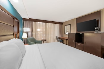 Room, 1 King Bed, Roll-in Shower, Non Smoking