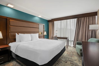 Standard Room, 1 King Bed, Non Smoking