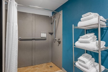 Room, 1 King Bed, Roll-in Shower, Non Smoking