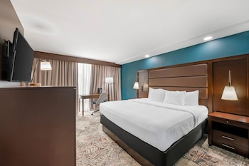 Room, 1 King Bed, Accessible, Non Smoking