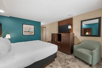 Room, 1 King Bed, Accessible, Non Smoking