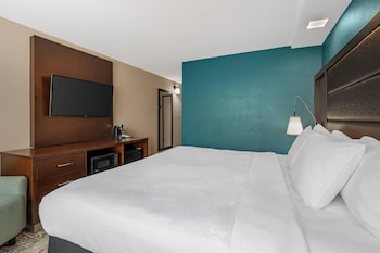 Standard Room, 1 King Bed, Non Smoking
