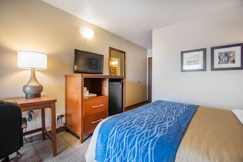 Standard Room, 1 Queen Bed with Sofa bed, Non Smoking