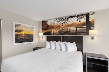 Room, 1 King Bed, Smoking